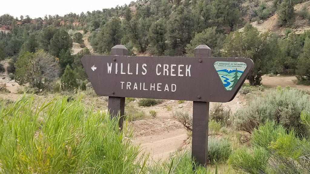 Willis Slot Canyon